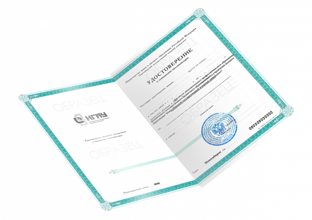 Образец<br />  <span>выдаваемого документа</span>